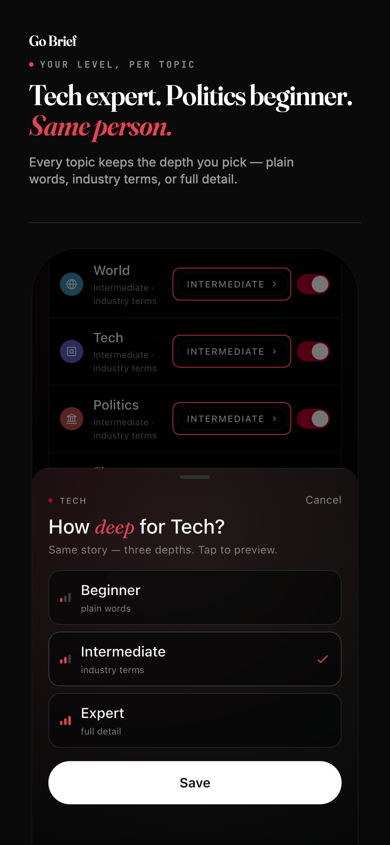 Go Brief: AI News Digest screenshot 4