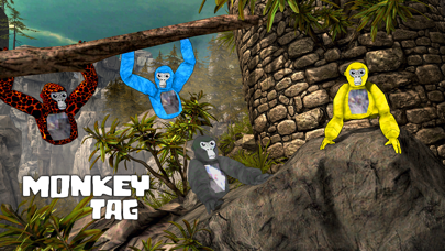 Monkey Tag Arena Game Screenshot