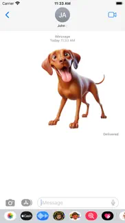 vizsla stickers problems & solutions and troubleshooting guide - 3
