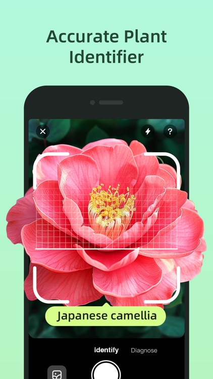 PlantLush: Plant ID & Care App