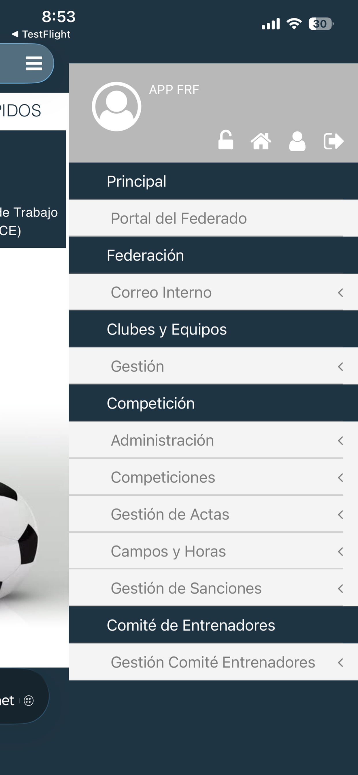 Intranet FRF screenshot 4