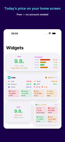 WattSaver for Octopus Energy screenshot