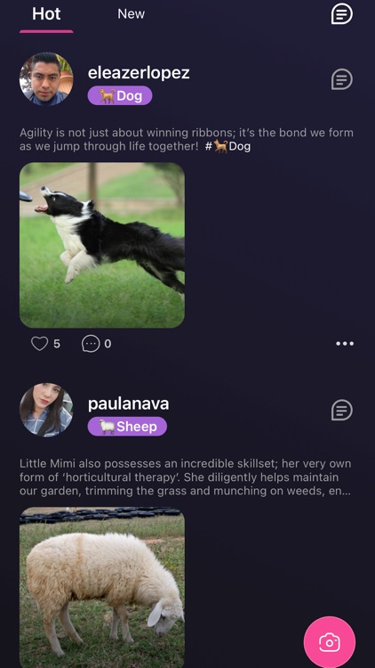 Fantasy - Pets&Friends