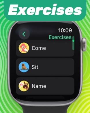 Apple Watch screenshot