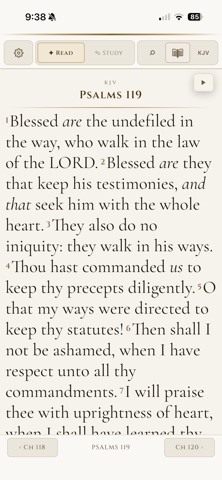 Scriptorium TR Screenshot 4 of 10