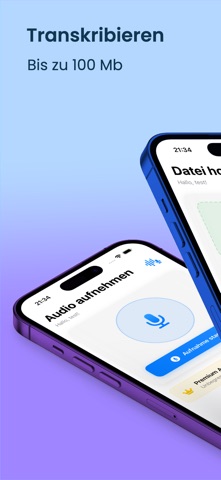 Audio zu Text Transkribieren screenshot