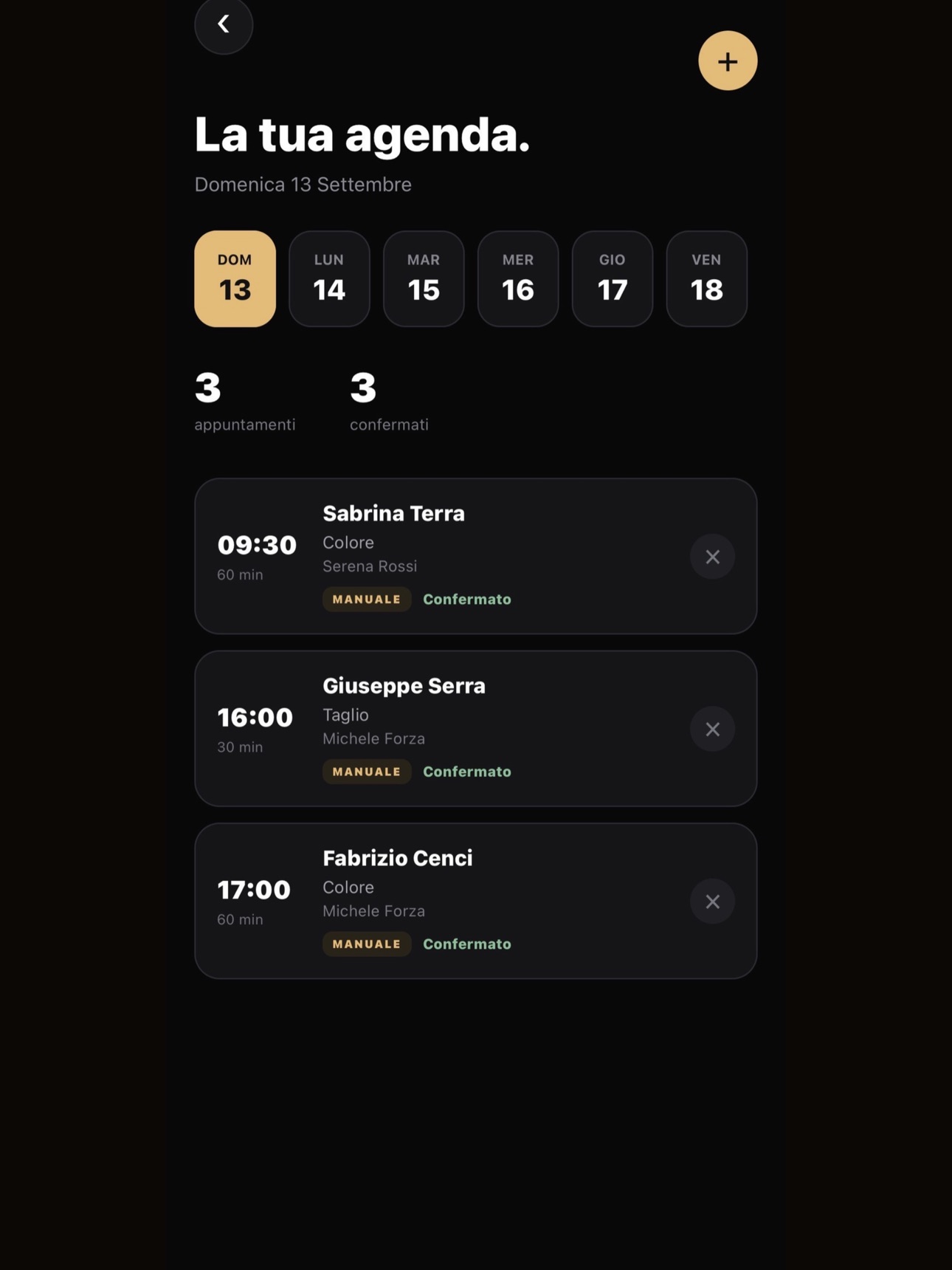 Screenshot 12 of SALOONÈ