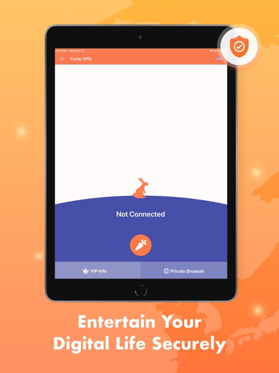 Turbo VPN Private Browser iPad screenshot 6 - Productivity app