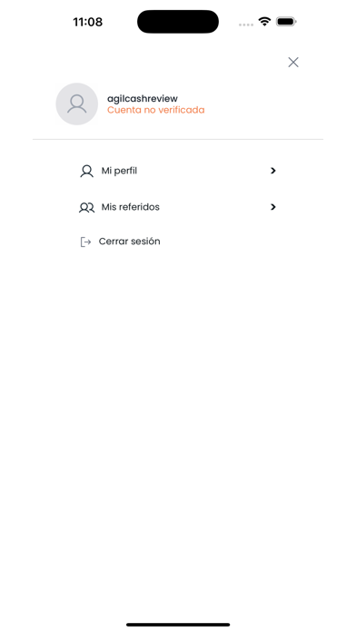 AgilCash screenshot