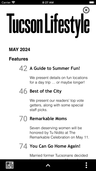 Tucson Lifestyle Magazine Screenshot