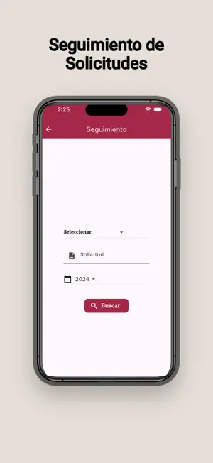 Consultas INSEJUPY screenshot 4