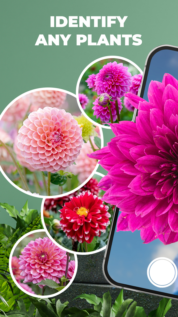 Planet - AI Plant Identifier