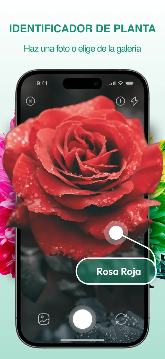 PlantExpert Leaf Identifier screenshot 1