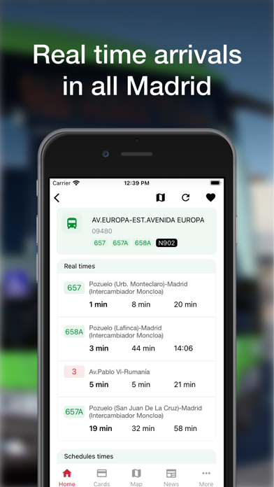 Madrid Transport - TTP Screenshot