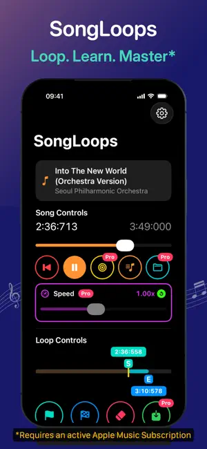 SongLoops screenshot 1