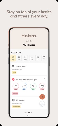Holsm screenshot