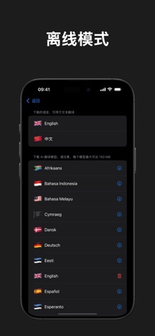 VI Translator screenshot