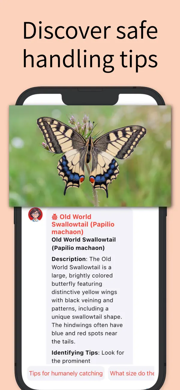 Screenshot #2 pour Insect Identifier & Bug ID ‎