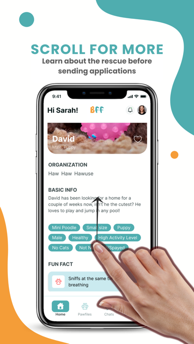 Bearlot's Furry Friends (BFF) Screenshot