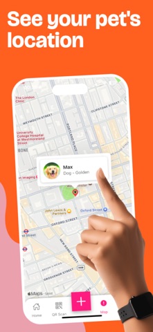 Find My Pets screenshot