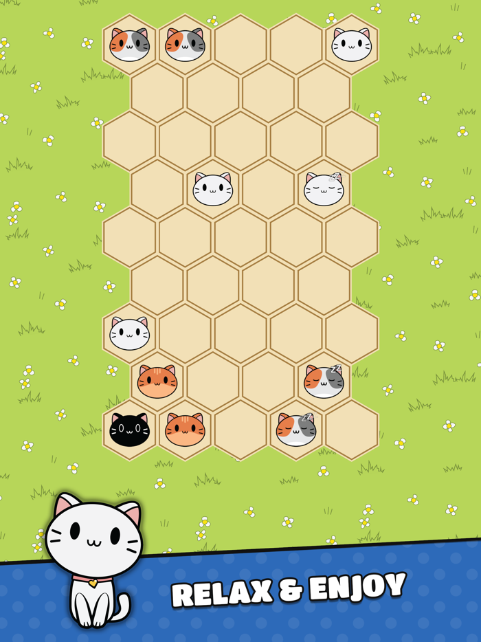 Cute Puzzle Hex Cat