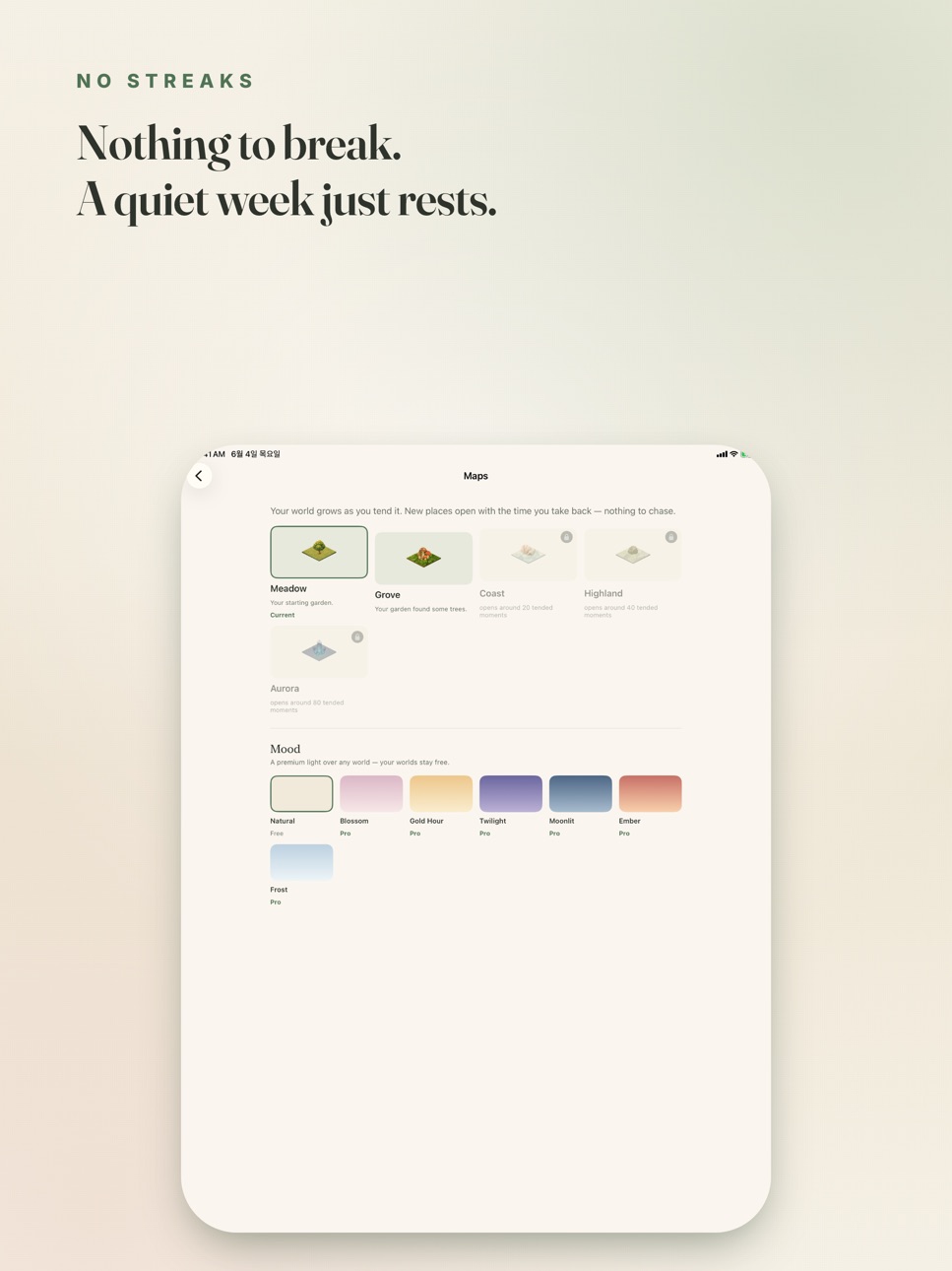 iPad screenshot