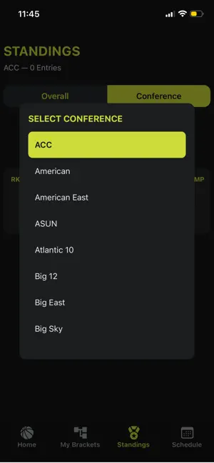 Hutchball TC screenshot 3