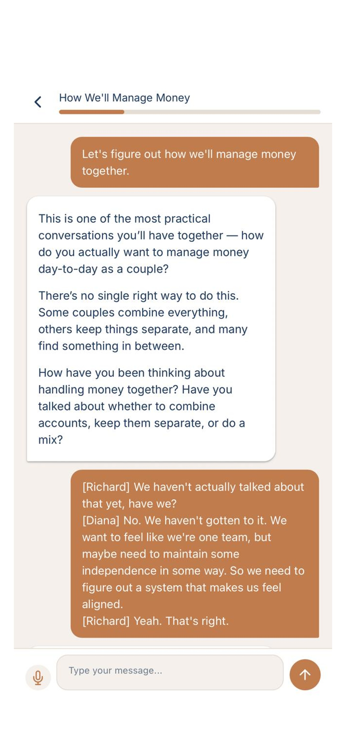 Opto: Money Coach for Couples