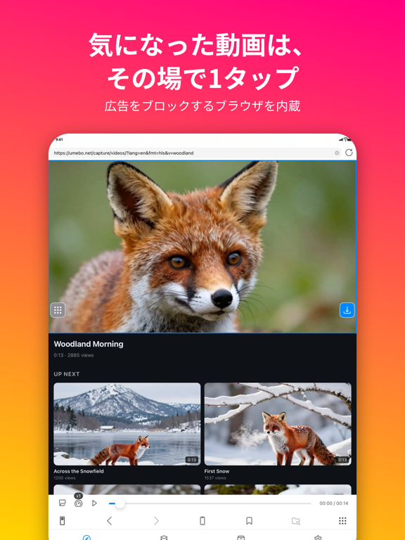 動画保存 / バックグラウンド再生 / iCap iPad screenshot 2