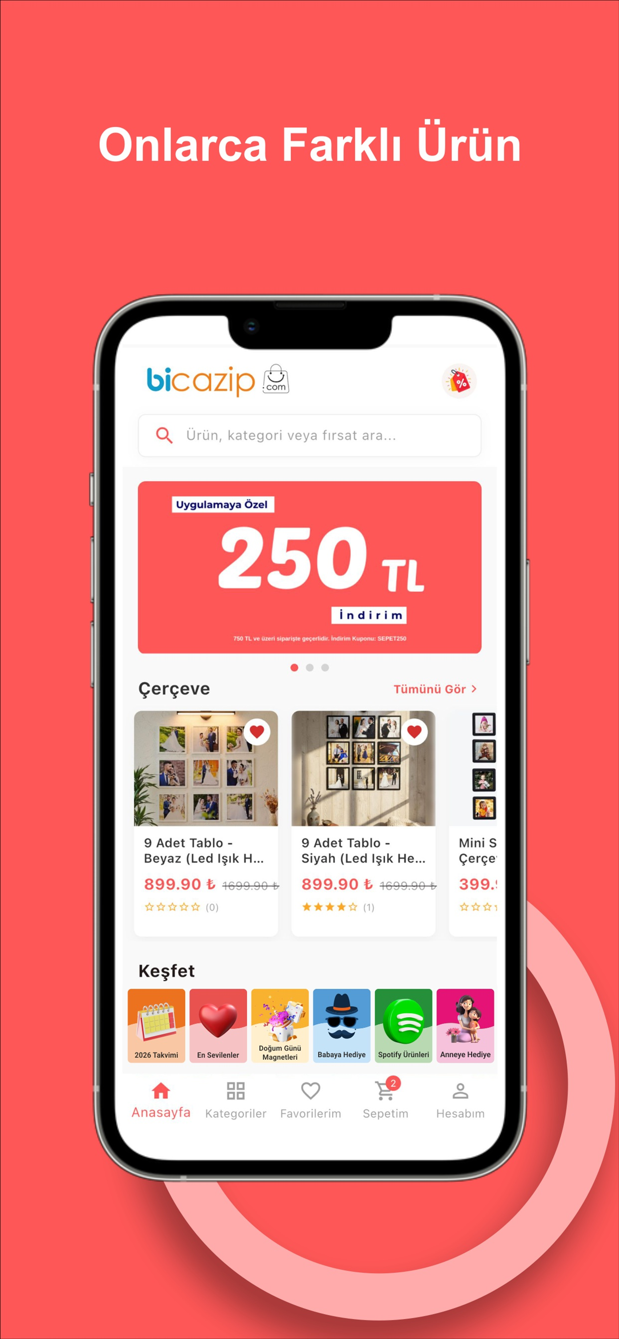 Bicazip screenshot 2
