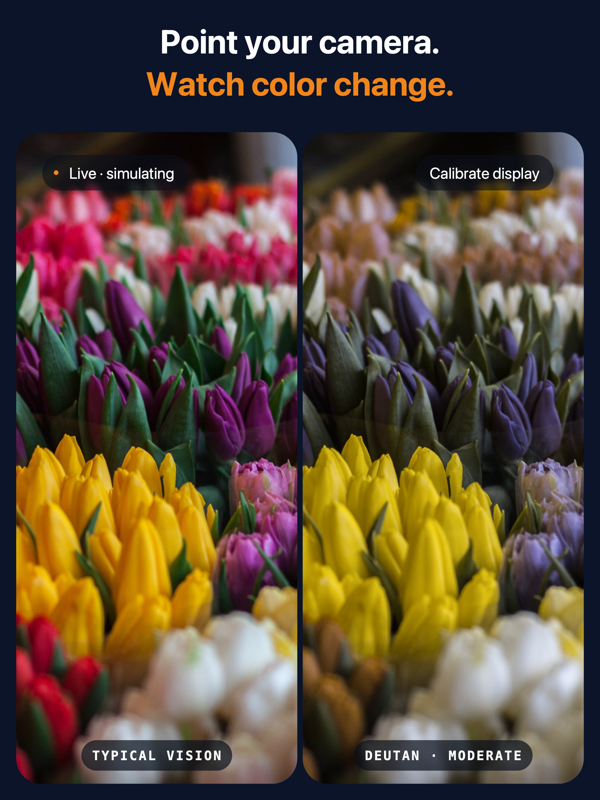 EyesLikeMe: Color Blind Test screenshot 9