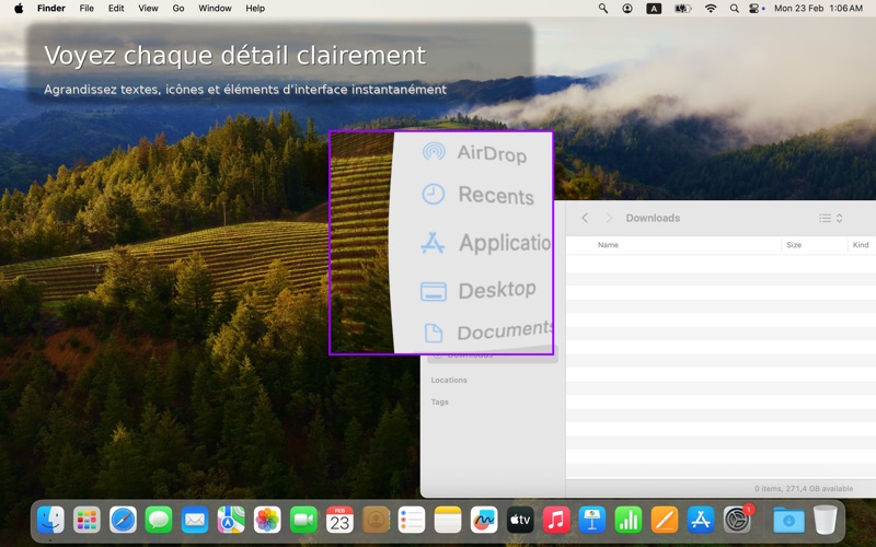 Screenshot #3 pour Desktop Lens PRO