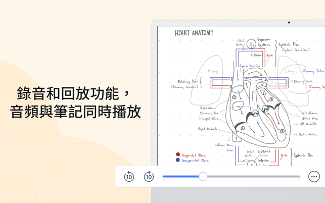 ‎Notability Screenshot