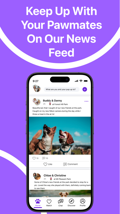 Pawmates: The Pet Social Media Screenshot