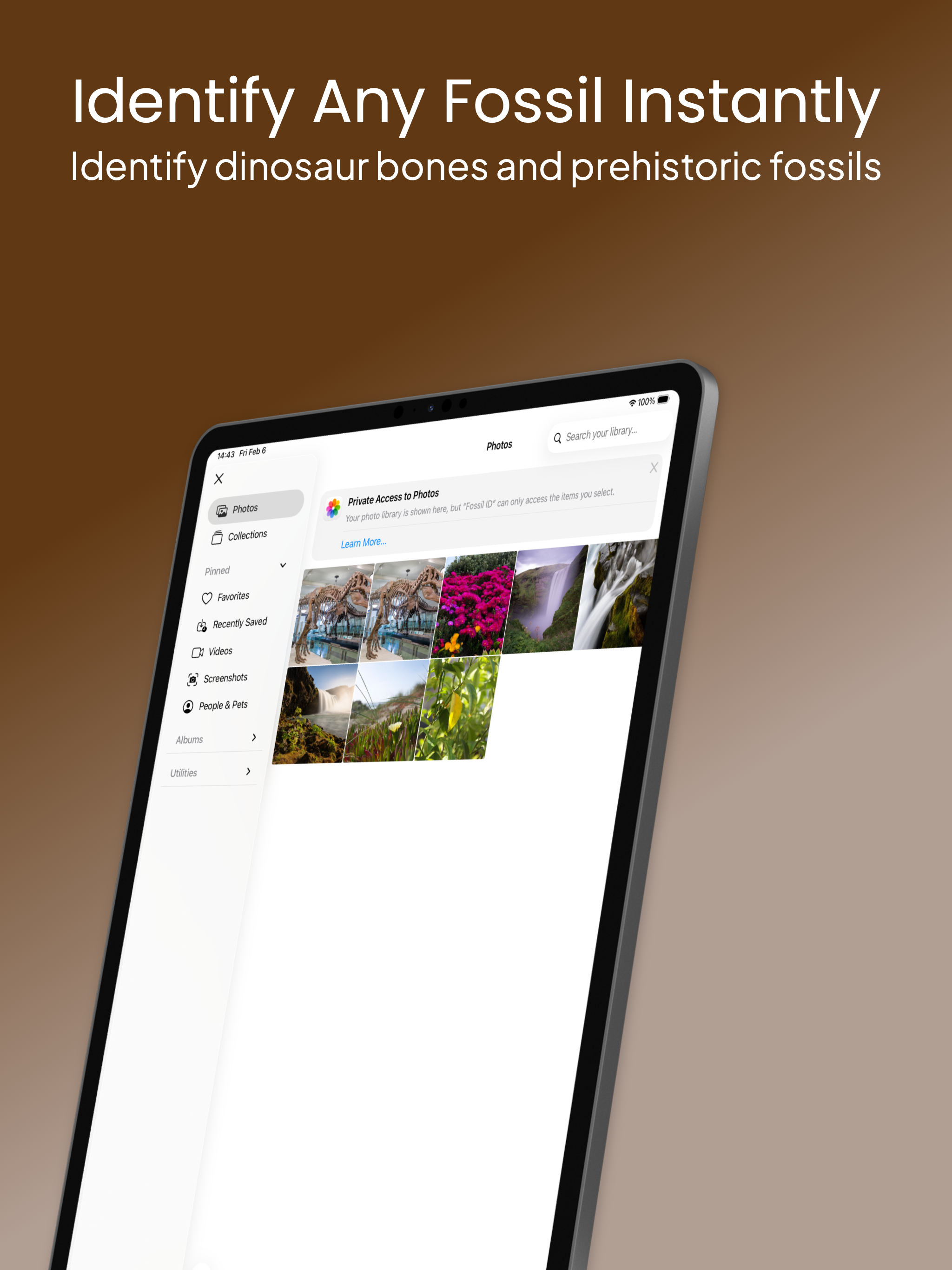 Fossil Identifier - Dino Scan screenshot 7