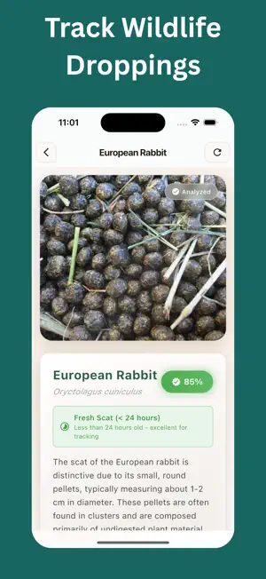 Animal Scat Identifier: Scan screenshot 3