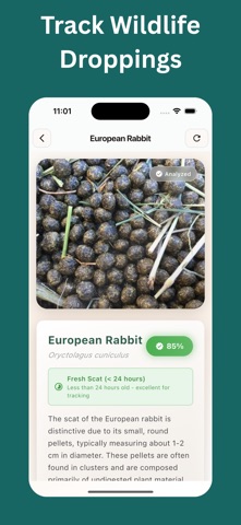 Animal Scat Identifier: Scan screenshot