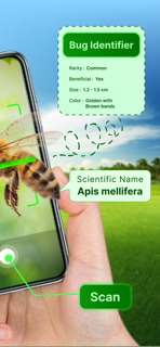 Bug Identifier: Insect screenshot 2