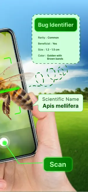 Bug Identifier: Insect screenshot 2