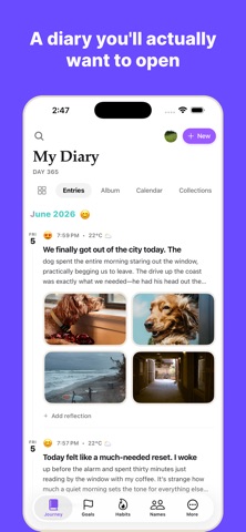 WispDay: Private Daily Diary Screenshot 1 of 9