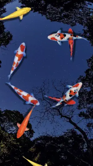 Pond Koi Lite screenshot 1