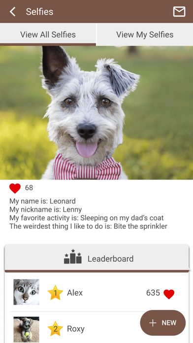 Heights Veterinary Associates Screenshot