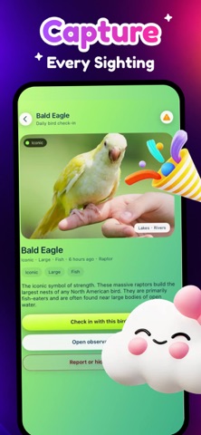 Jvro-Video chat,Live recording iPhone screenshot