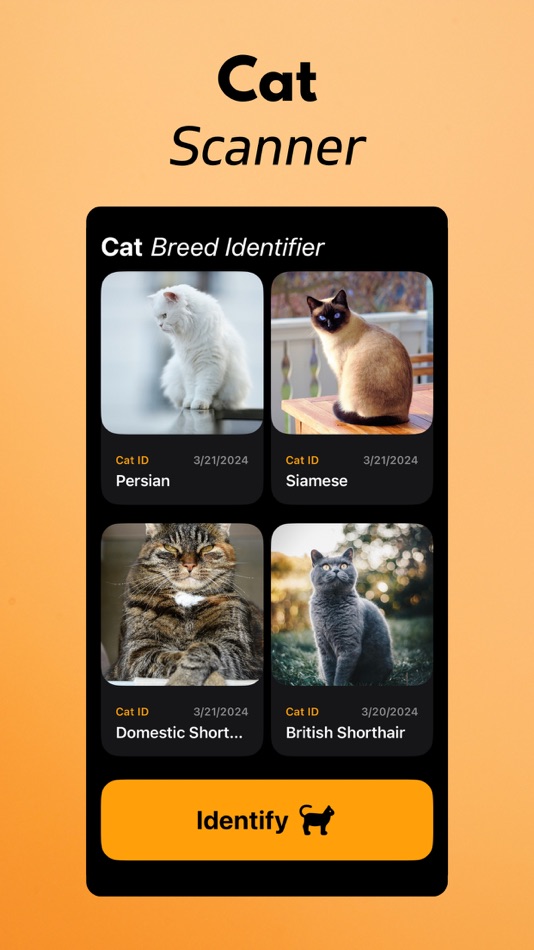 #2. Cat Breed Identifier (iOS) Podle: Arda Sen