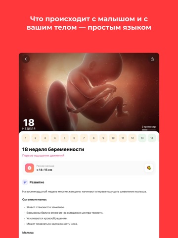Narestem – AI для беременных iPad screenshot