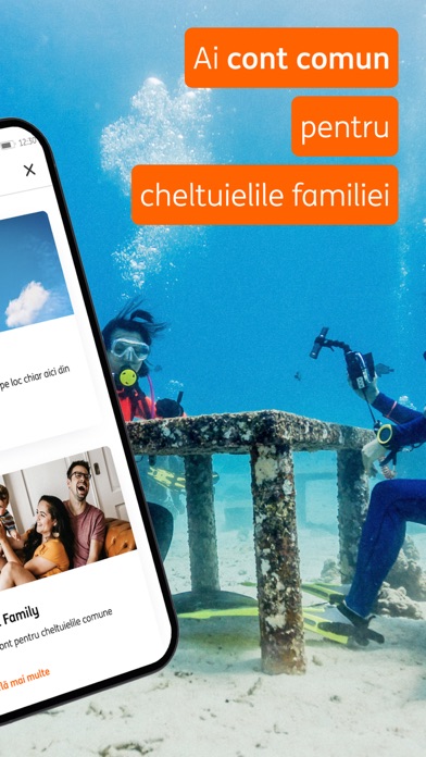 ING HomeBank Screenshot