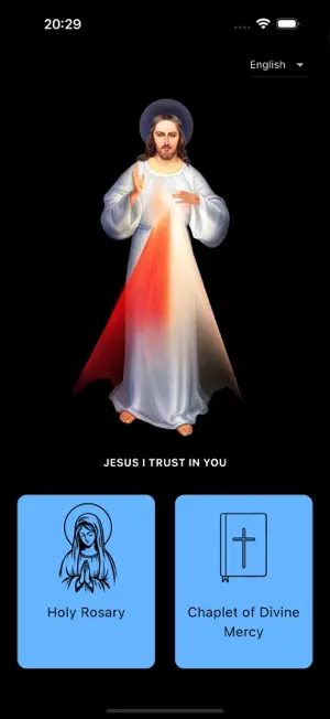 THE HOUR OF MERCY screenshot 1
