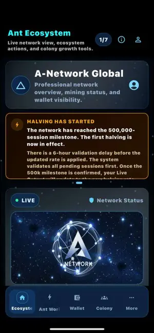 A Network screenshot 4