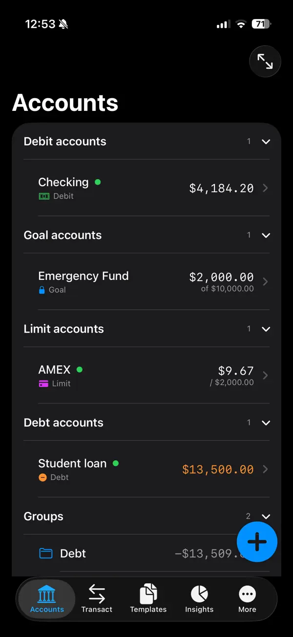 Screenshot #1 pour Personal Pocket Ledger