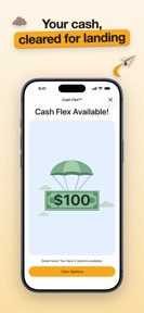 Panda Pay: Financial Insights screenshot